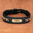 Hundhalsband med kedja