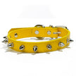 Halsband med spikes
