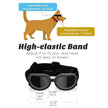 Goggles för hund