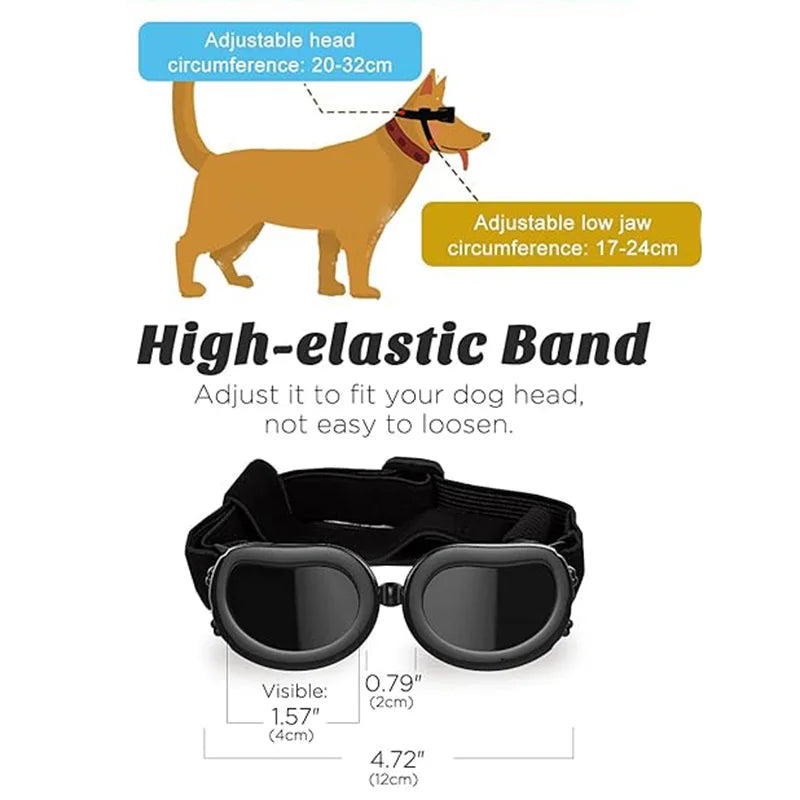 Goggles för hund