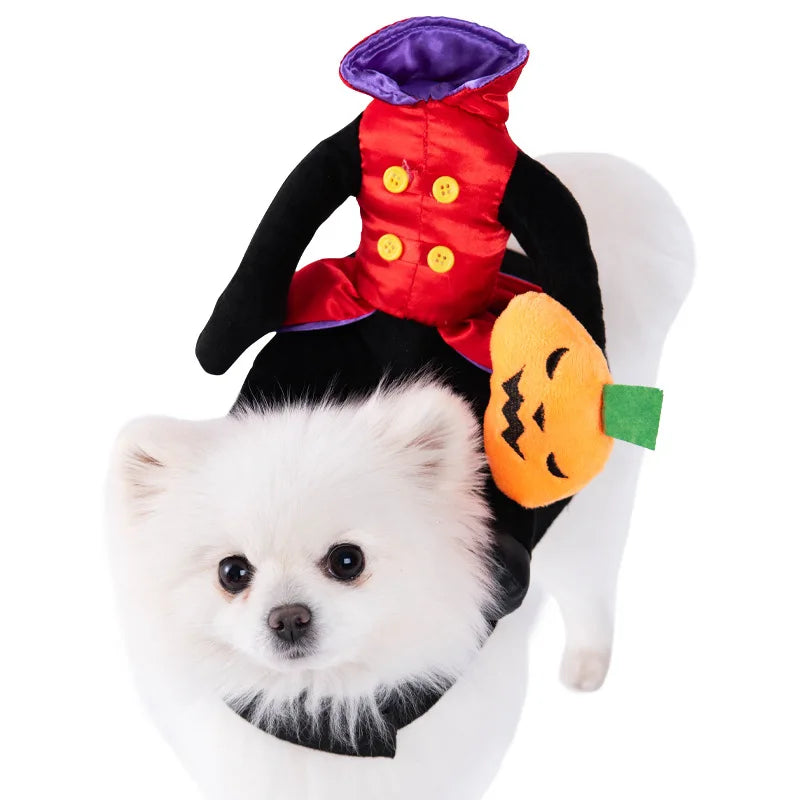 Halloween kostym för hund