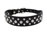 Hundhalsband med strass
