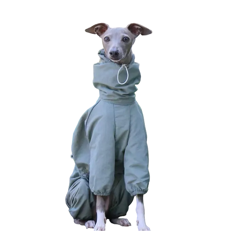 Vattentät overall för hund