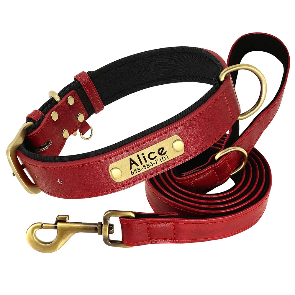 Hundhalsband & koppel
