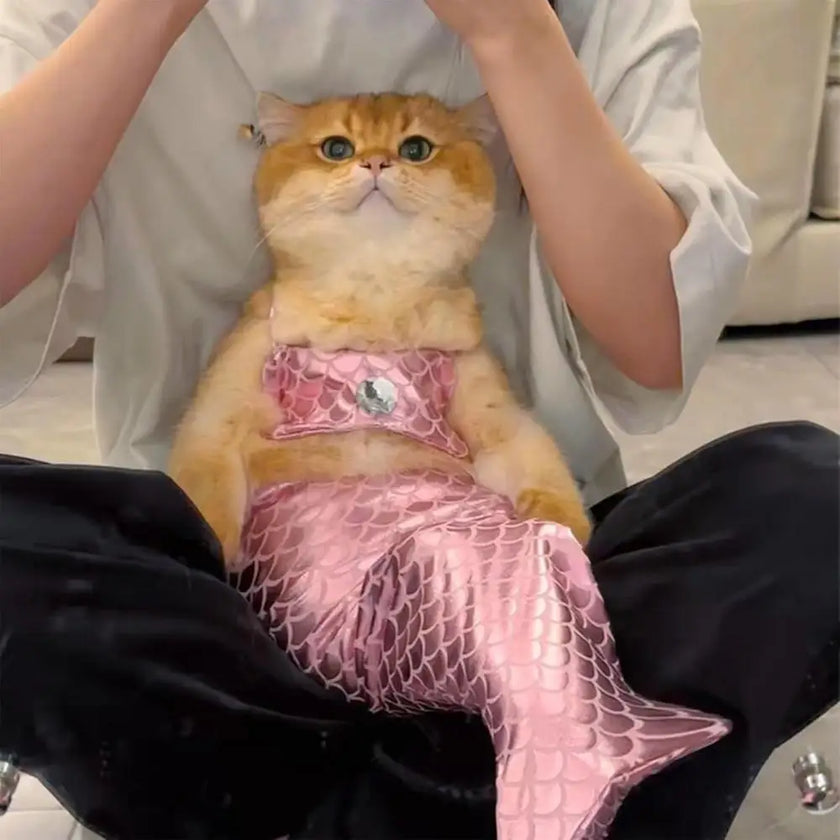 Sjöjungfru kostym för hund eller katt