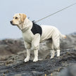 Vattentät overall för hund