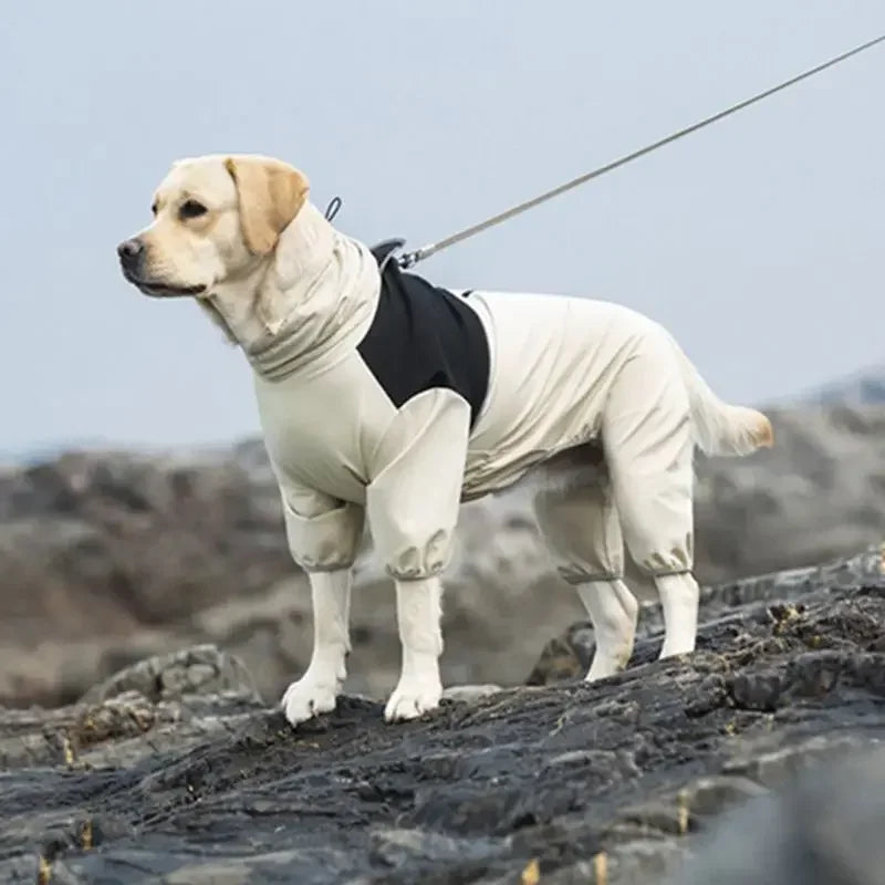 Vattentät overall för hund