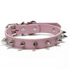 Halsband med spikes
