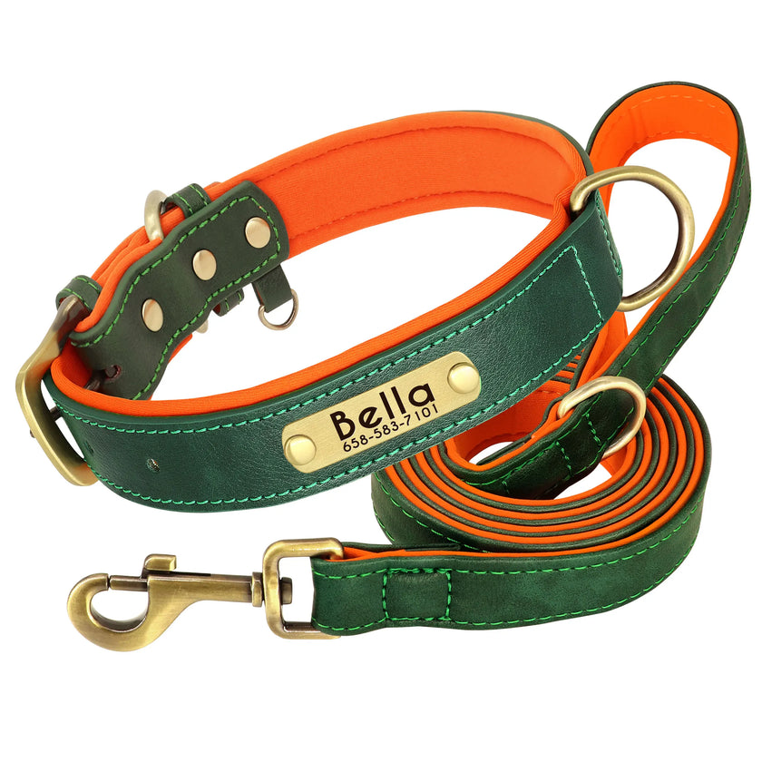Hundhalsband & koppel