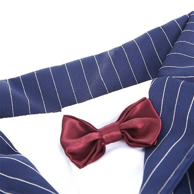 Kostym med fluga för stor hund