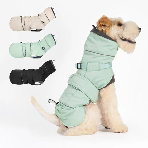 Winter jacket with high collar for dog