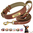 Hundhalsband & koppel