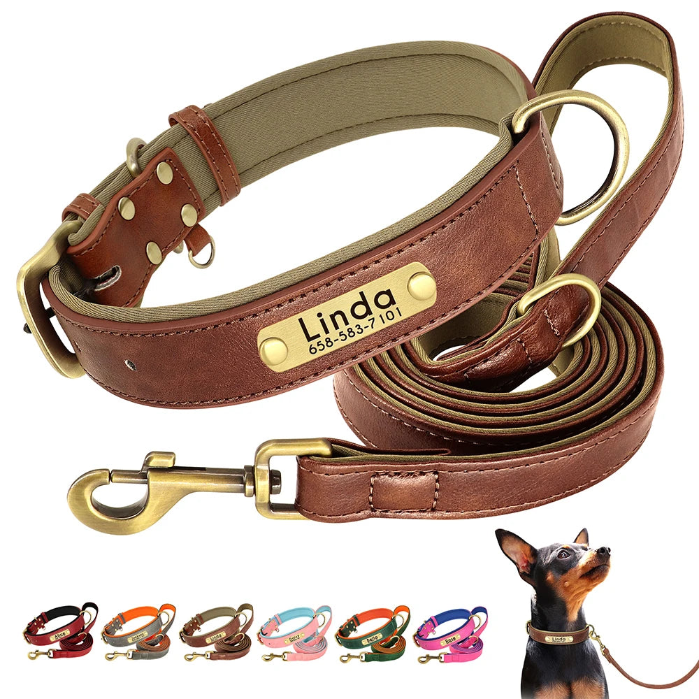 Hundhalsband & koppel