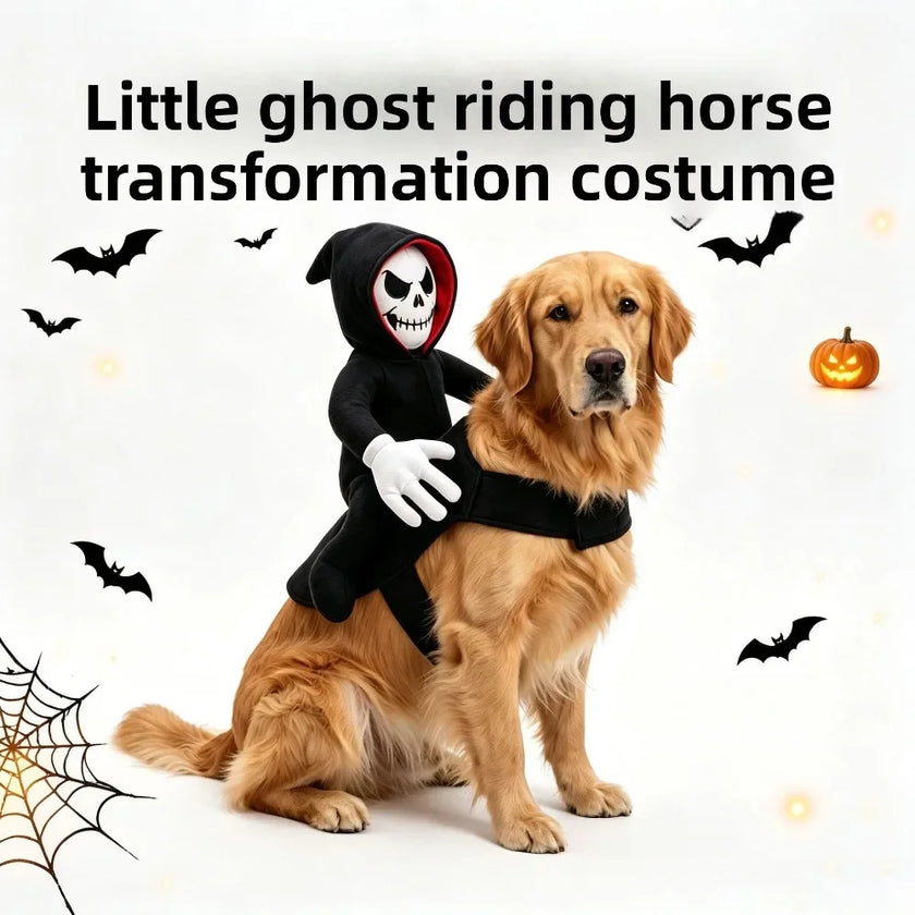 Halloween utklädnad för hund
