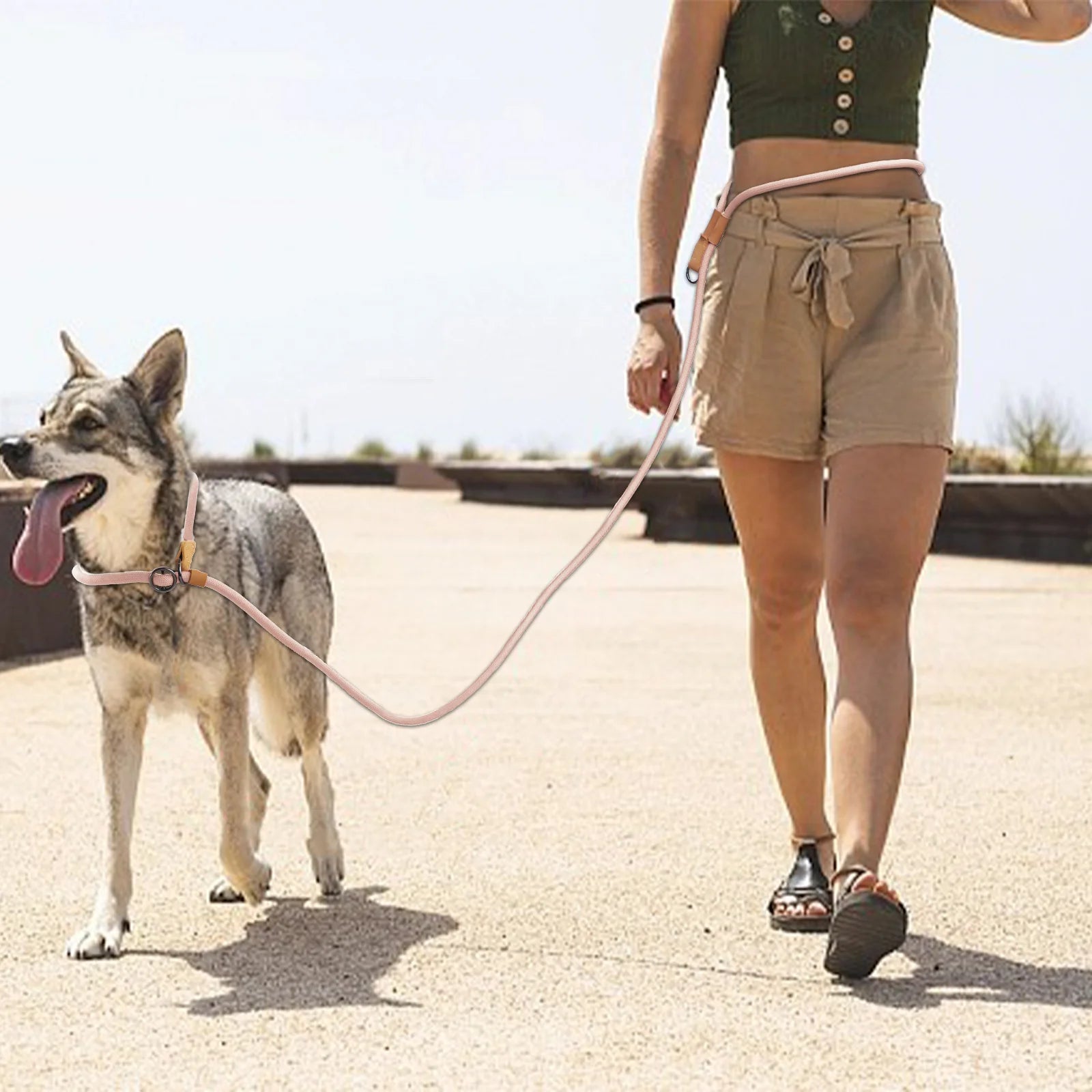 Multifunktionellt koppel för hund