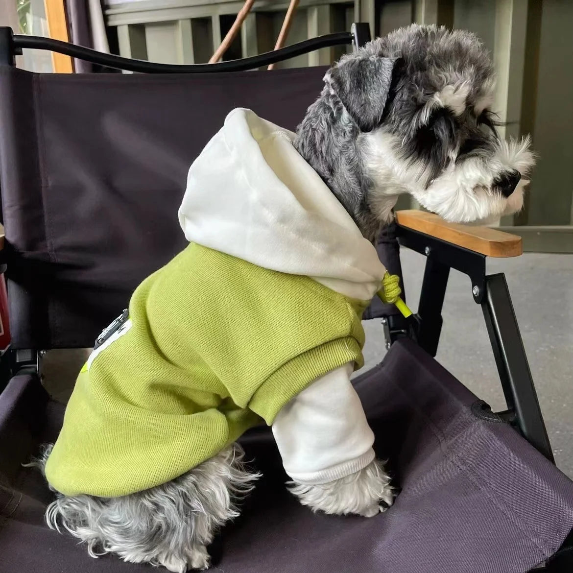 Sweatshirt med luva för hund