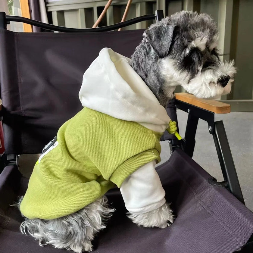 Sweatshirt med luva för hund