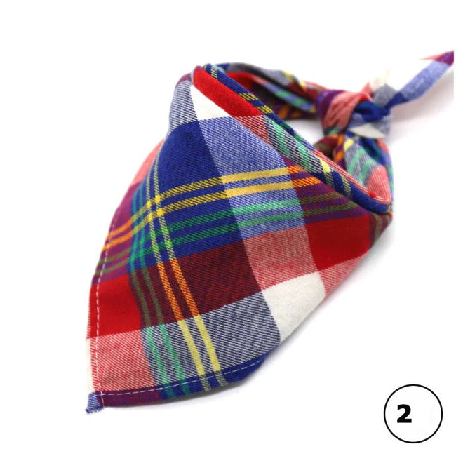 Scarf för hund