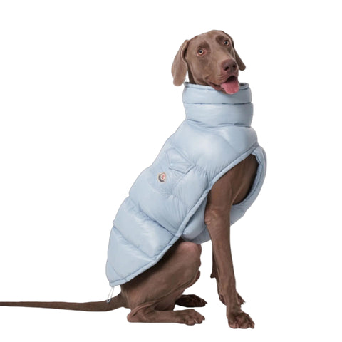 Dog vest