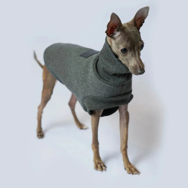 Polotröja för hund