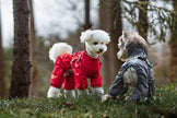 Regnoverall med sele för hund
