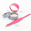 Brett hundhalsband