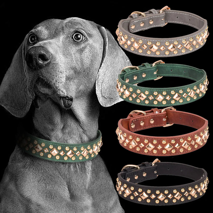 Hundhalsband med nitar