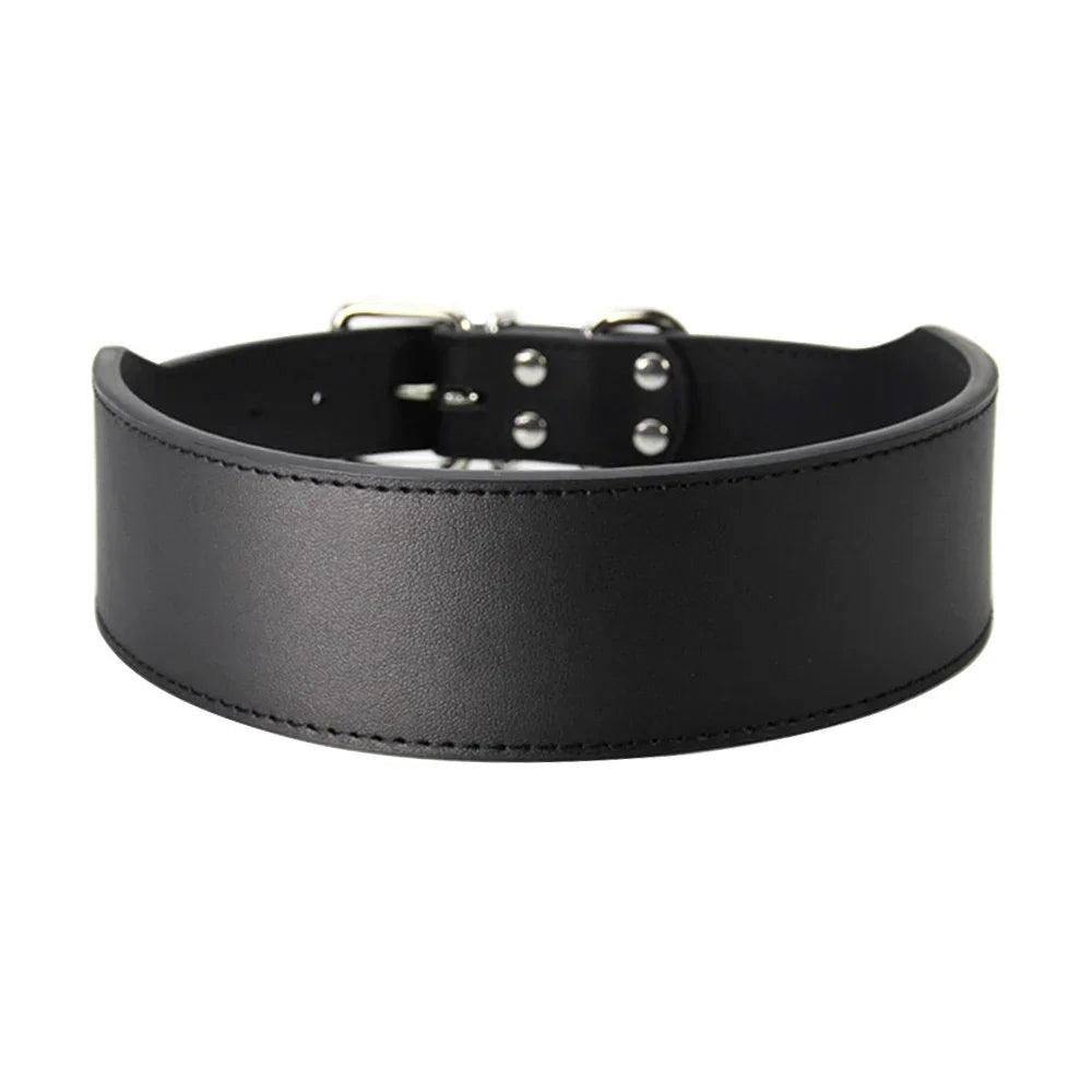 Hundhalsband för stor hund
