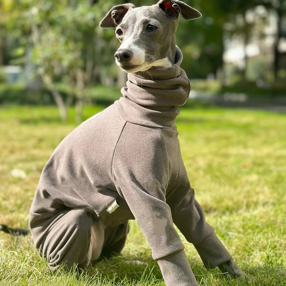 Overall Onesie med hög krage för hund