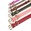 Hundhalsband & koppel