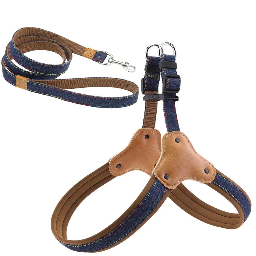 Hundsele i jeanstyg & koppel