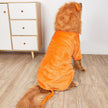 Lejonkostym för hund