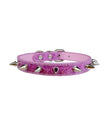 Glittrigt hundhalsband med nitar