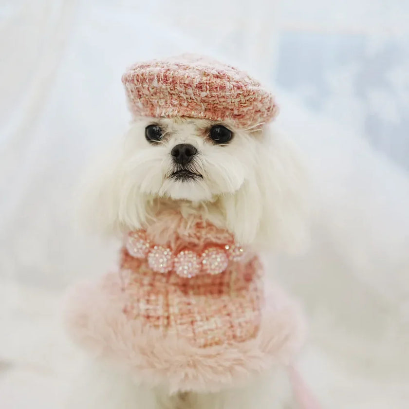 Cape för liten hund