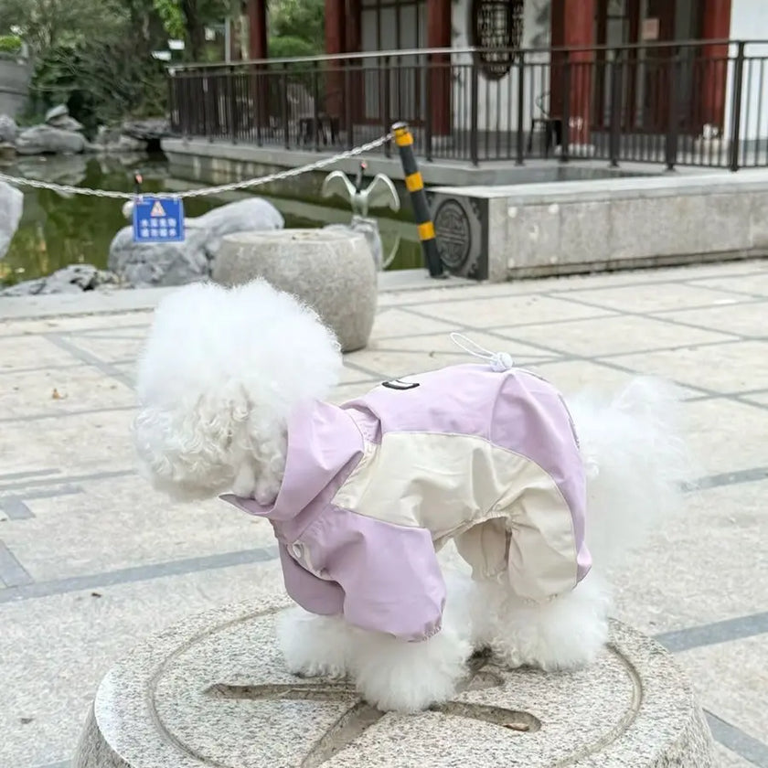 Vattentät overall för liten hund