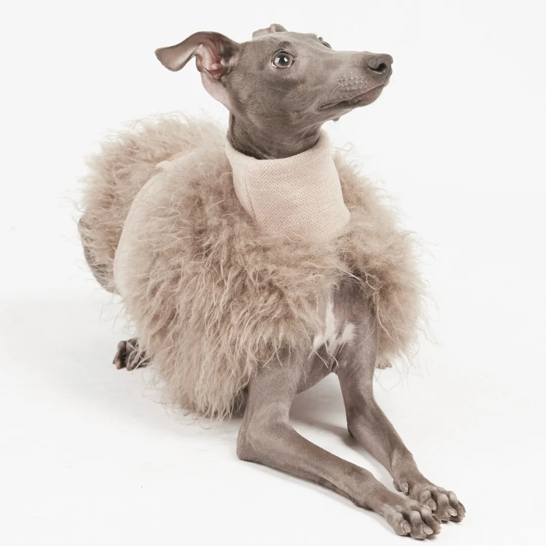 Pälströja för hund