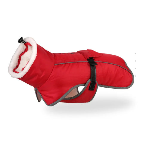 Vintertäcke för hund