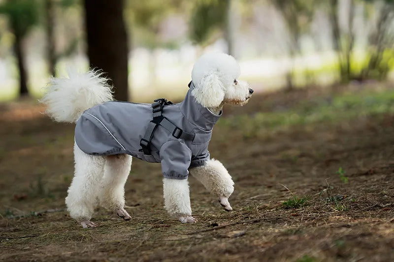 Regnjacka med sele för liten hund
