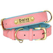 Hundhalsband & koppel