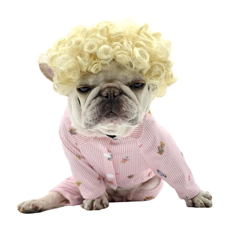 Peruk för hund