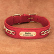 Hundhalsband med kedja