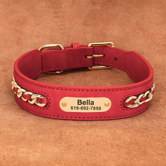 Hundhalsband med kedja