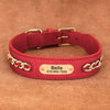 Hundhalsband med kedja