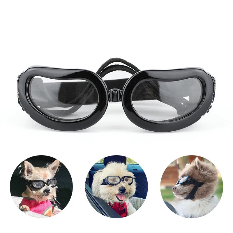 Goggles för hund