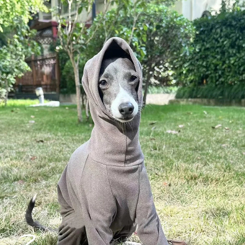 Overall Onesie med hög krage för hund