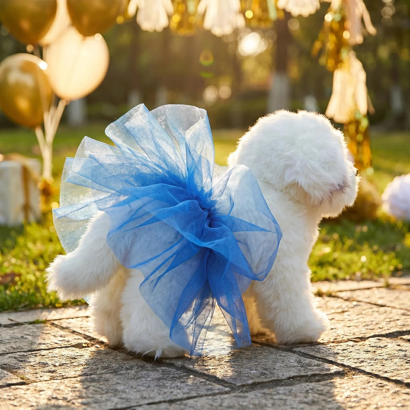 Tyllkjol för hund