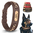 Hundhalsband med kedja