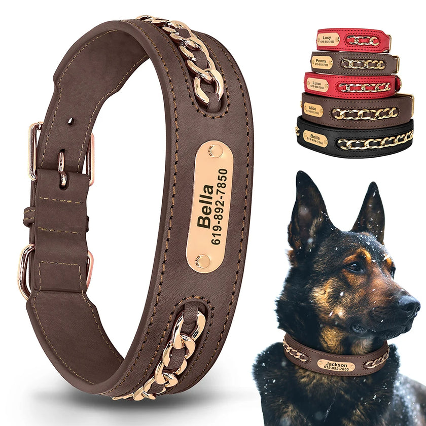Hundhalsband med kedja
