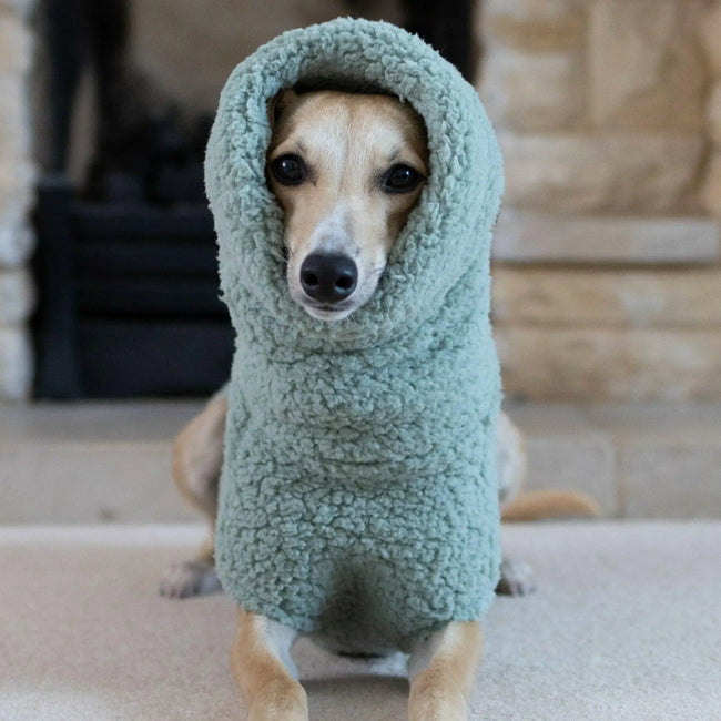 Fleecetäcke för hund