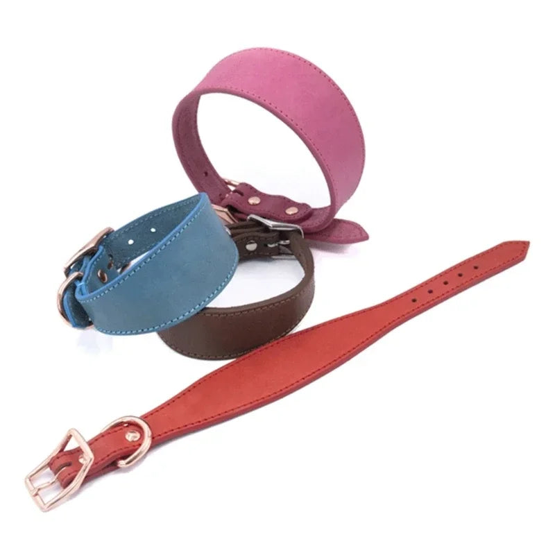 Brett hundhalsband